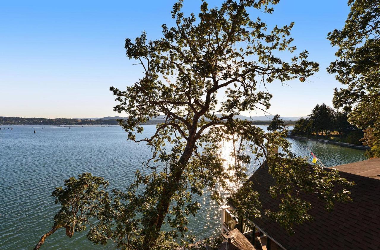 Salishan Tree House Suite Cowichan Bay Eksteriør bilde